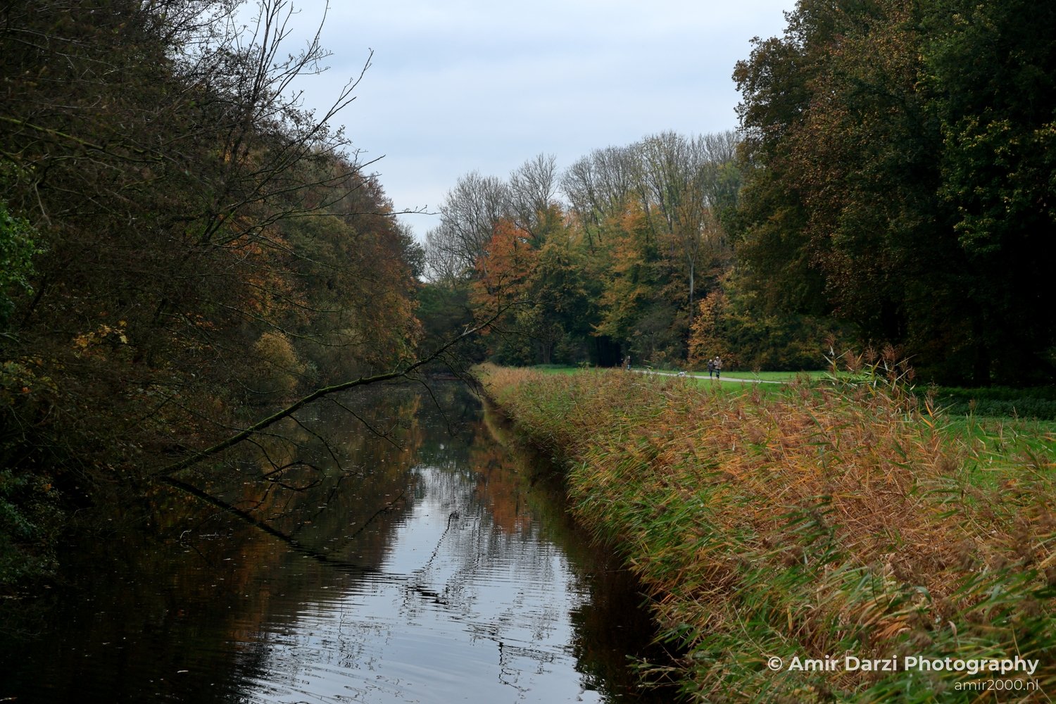 Amsterdamse Bos Fall Autumn scenery reflection Nature Landscape Amsterdam Netherlands Photo 3