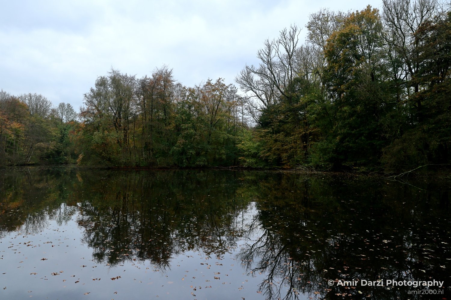Amsterdamse Bos Fall Autumn scenery reflection Nature Landscape Amsterdam Netherlands Photo 4