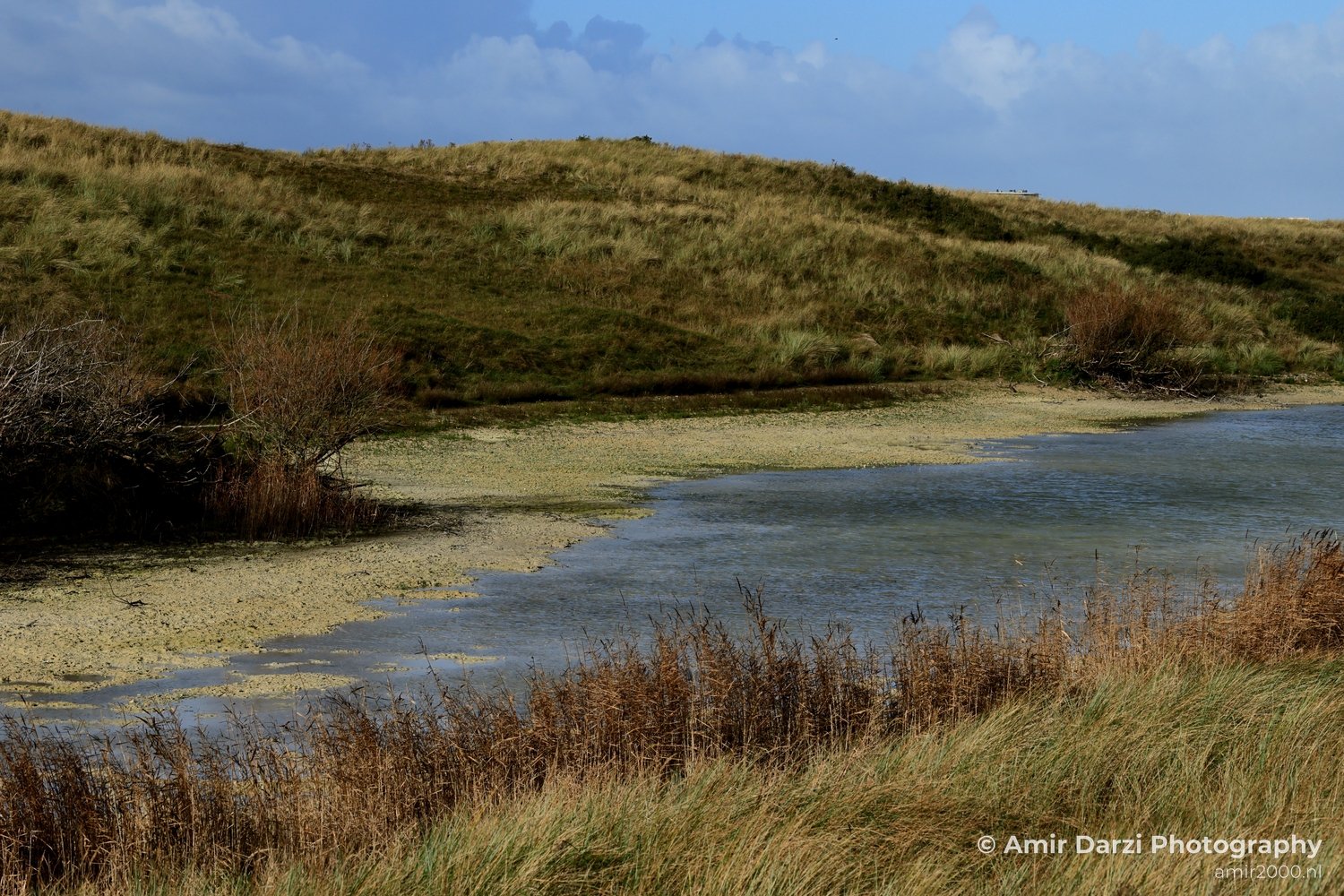 Amsterdamse Waterleidingduinen Fall scenery Nature Landscape Amsterdam Netherlands Photo 29