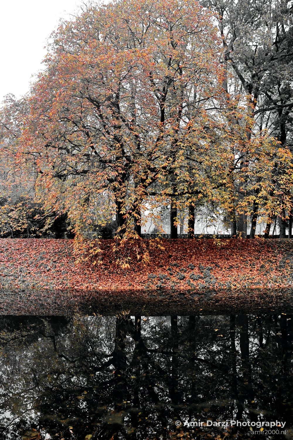 Castle De Haar Tower Closeup With Trees Landscape in Utrecht Netherlands from nature series