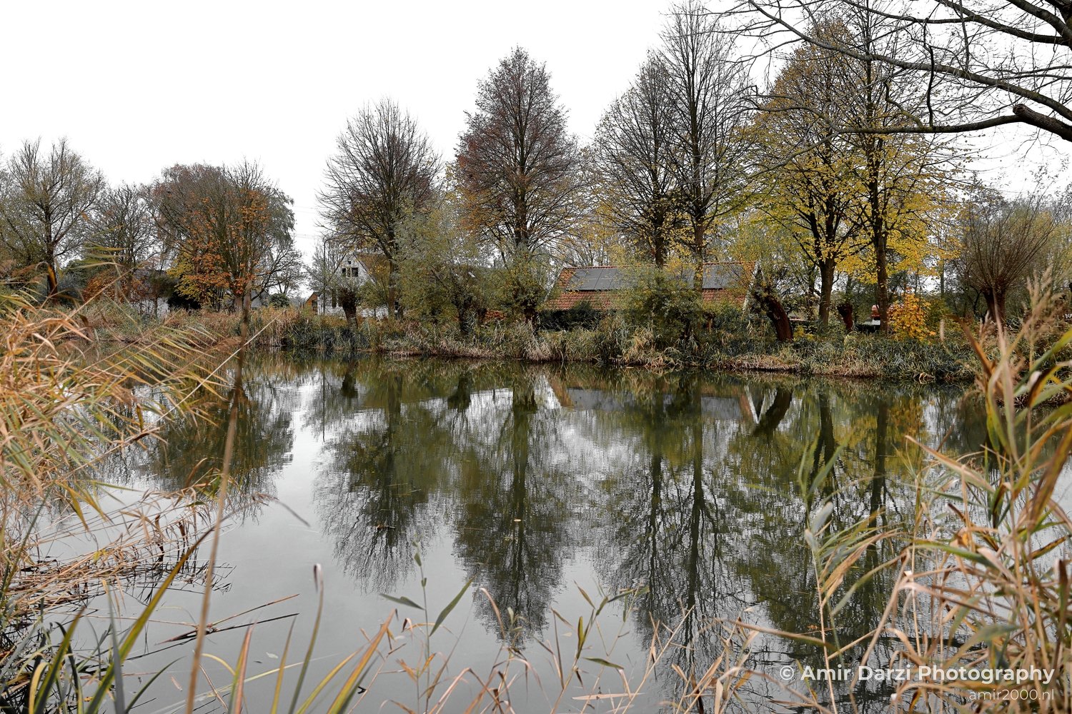 Gein between Driemond and Abcoude Reflection Fall scenery Landscape Nature in Nature Landscape Netherlands Photo 1