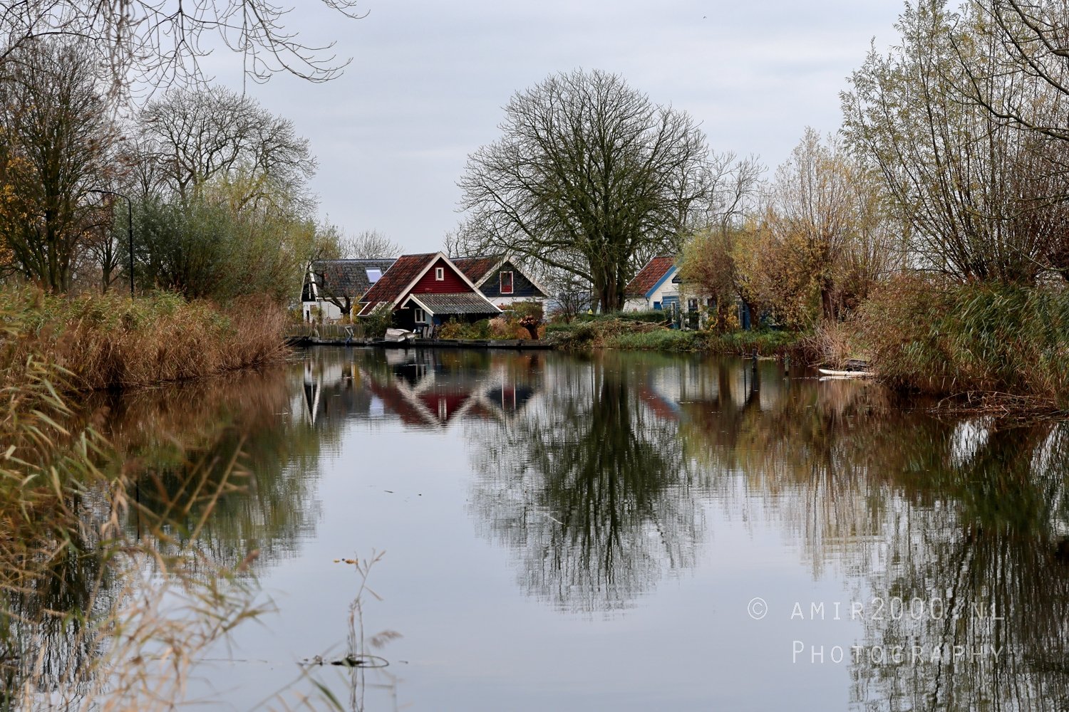 Gein between Driemond and Abcoude Reflection Fall scenery Landscape Nature in Nature Landscape Netherlands Photo 4