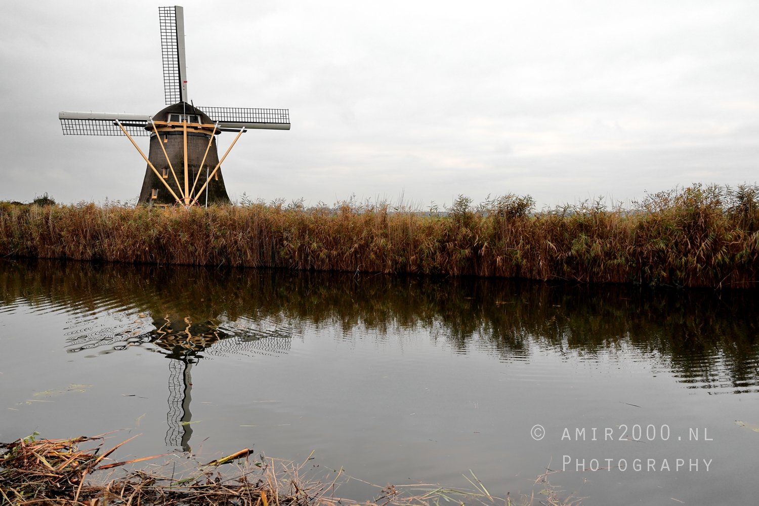 Gein between Driemond and Abcoude Reflection Fall scenery Landscape Nature in Nature Landscape Netherlands Photo 5