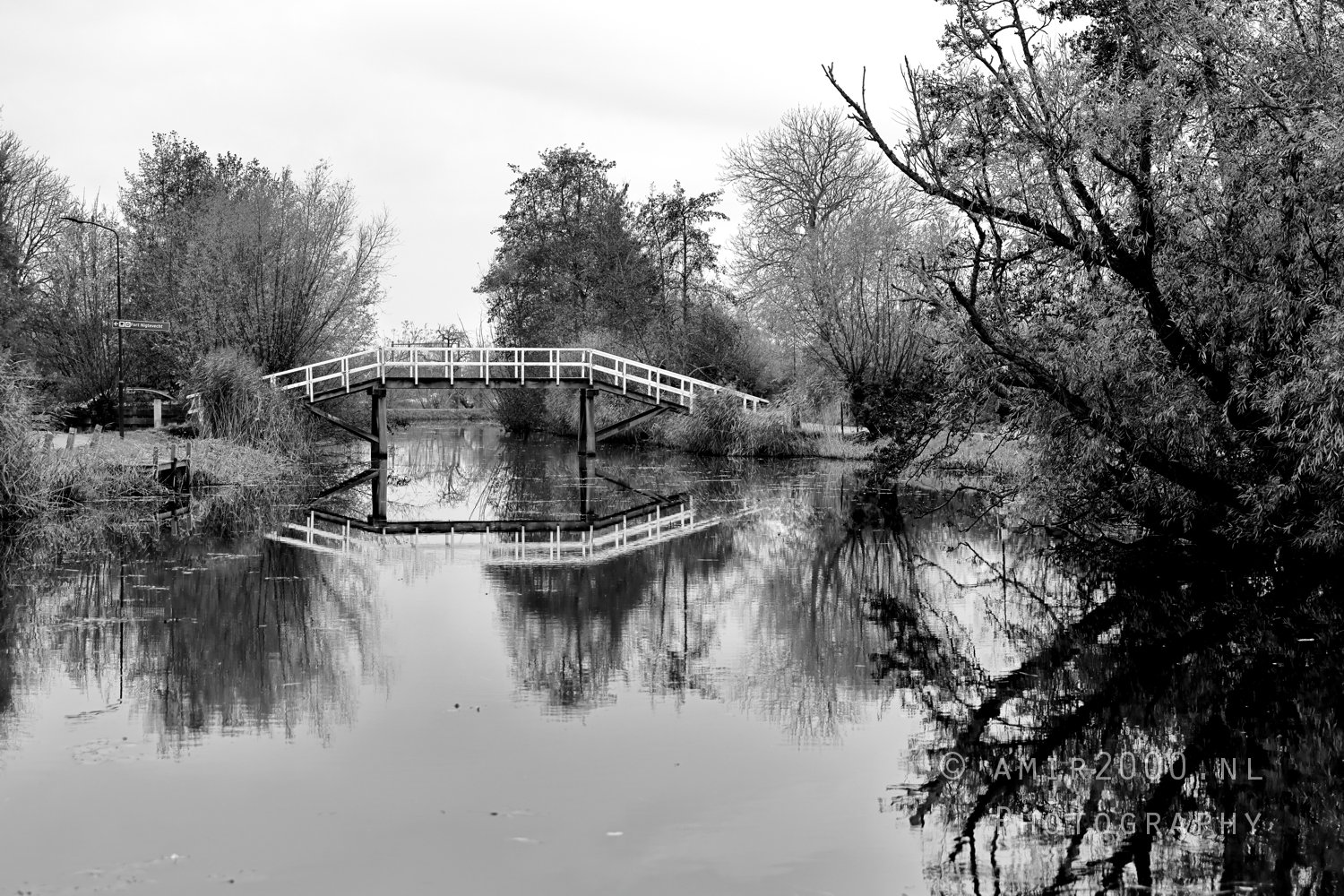Gein between Driemond and Abcoude Reflection Fall scenery Landscape Nature in Nature Landscape Netherlands Photo 9