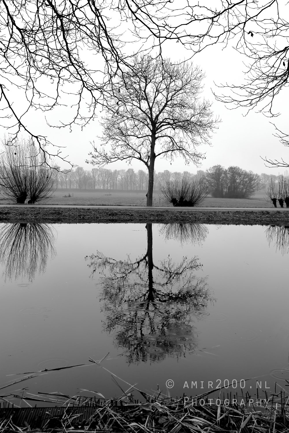 Gein between Driemond and Abcoude Reflection Fall scenery Landscape Nature in Nature Landscape Netherlands Photo 27