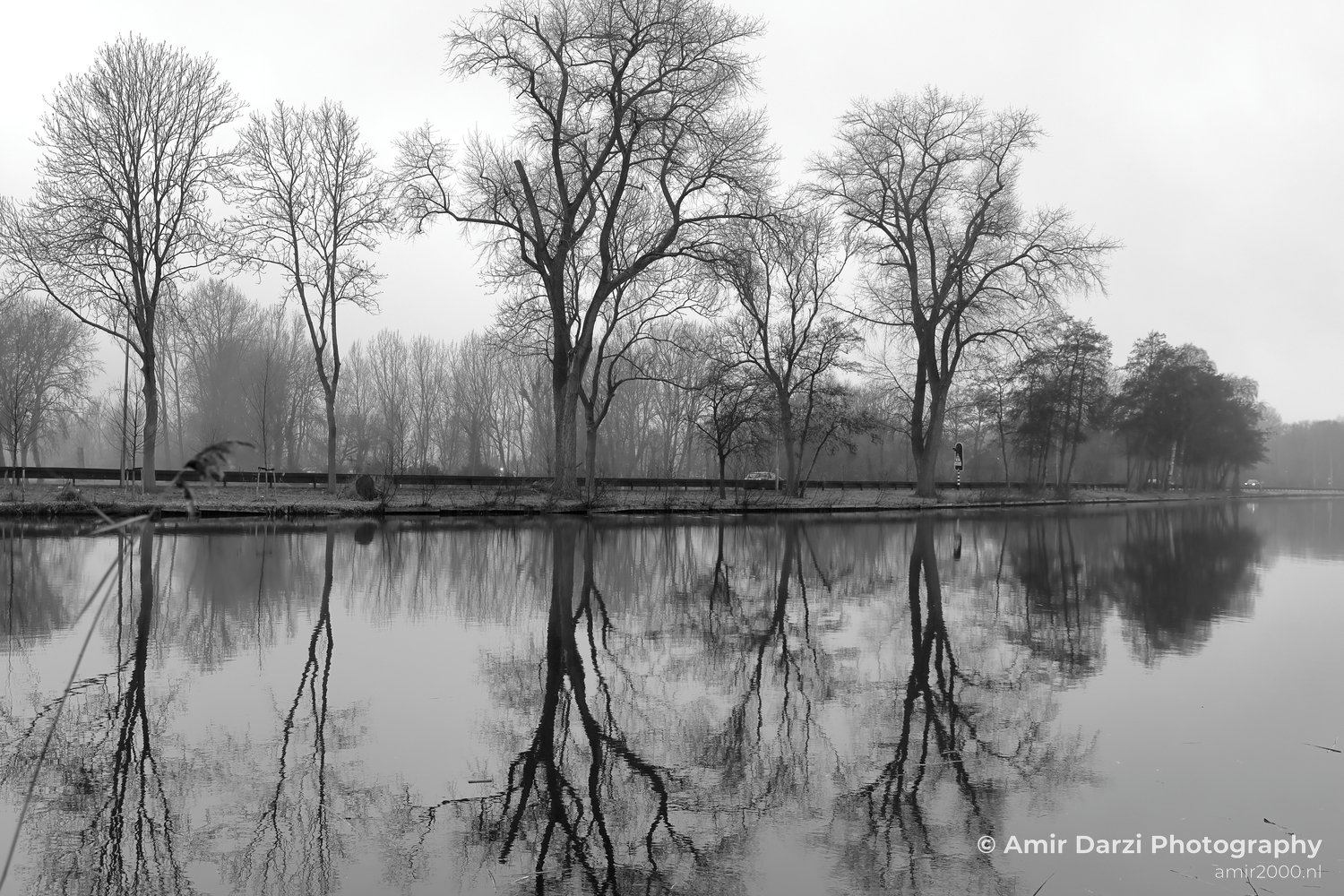 Gein between Driemond and Abcoude Reflection Fall scenery Landscape Nature in Nature Landscape Netherlands Photo 28