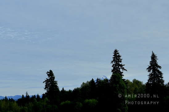 Alder_Lake_Eatonville_Washington_USA_landscape_nature_Photography_001_Canon_EOS_R5_Mark_II.JPG
