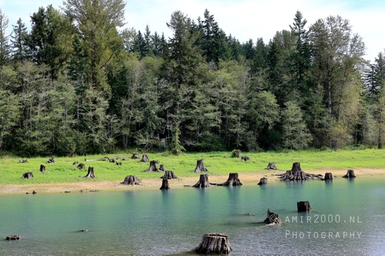 Alder_Lake_Eatonville_Washington_USA_landscape_nature_Photography_002_Canon_EOS_R5_Mark_II.JPG