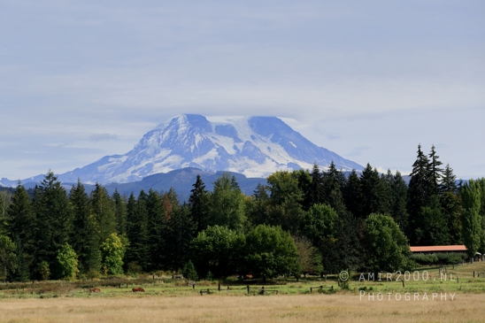 Alder_Lake_Eatonville_Washington_USA_landscape_nature_Photography_004_Canon_EOS_R5_Mark_II.JPG