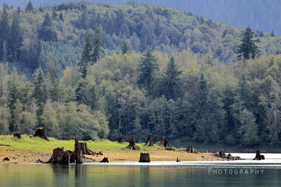 Alder_Lake_Eatonville_Washington_USA_landscape_nature_Photography_010_Canon_EOS_R5_Mark_II.JPG