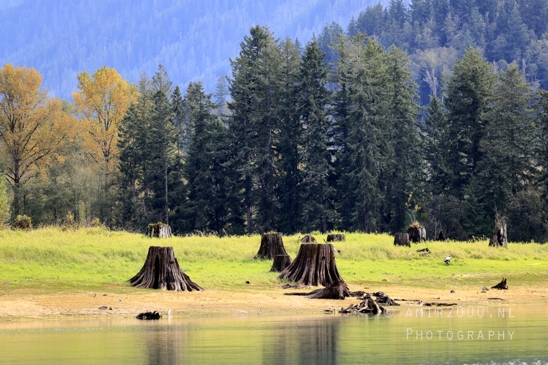 Alder_Lake_Eatonville_Washington_USA_landscape_nature_Photography_012_Canon_EOS_R5_Mark_II.JPG