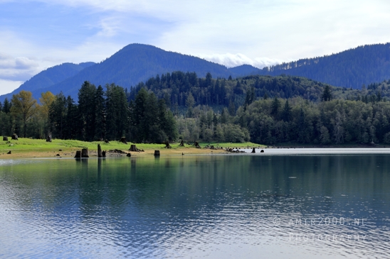 Alder_Lake_Eatonville_Washington_USA_landscape_nature_Photography_015_Canon_EOS_R5_Mark_II.JPG