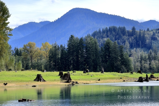 Alder_Lake_Eatonville_Washington_USA_landscape_nature_Photography_016_Canon_EOS_R5_Mark_II.JPG