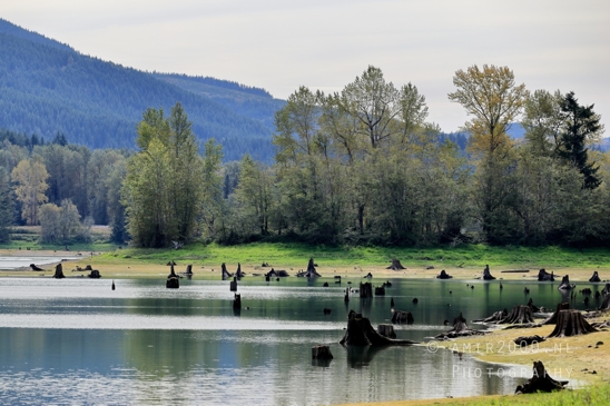Alder_Lake_Eatonville_Washington_USA_landscape_nature_Photography_021_Canon_EOS_R5_Mark_II.JPG