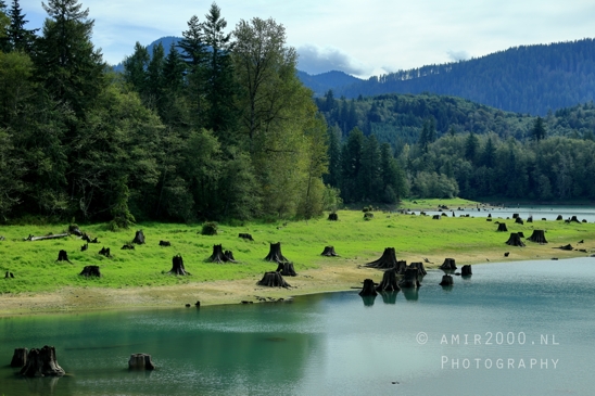 Alder_Lake_Eatonville_Washington_USA_landscape_nature_Photography_022_Canon_EOS_R5_Mark_II.JPG