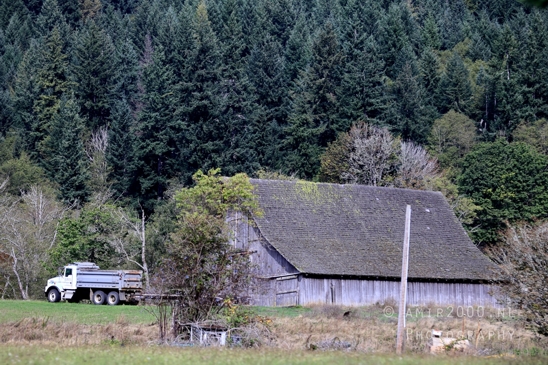 Alder_Lake_Eatonville_Washington_USA_landscape_nature_Photography_023_Canon_EOS_R5_Mark_II.JPG