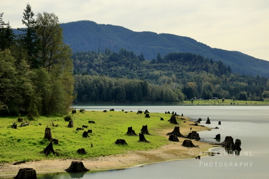Alder_Lake_Eatonville_Washington_USA_landscape_nature_Photography_024_Canon_EOS_R5_Mark_II.JPG