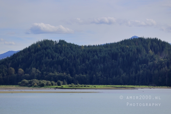 Alder_Lake_Eatonville_Washington_USA_landscape_nature_Photography_025_Canon_EOS_R5_Mark_II.JPG