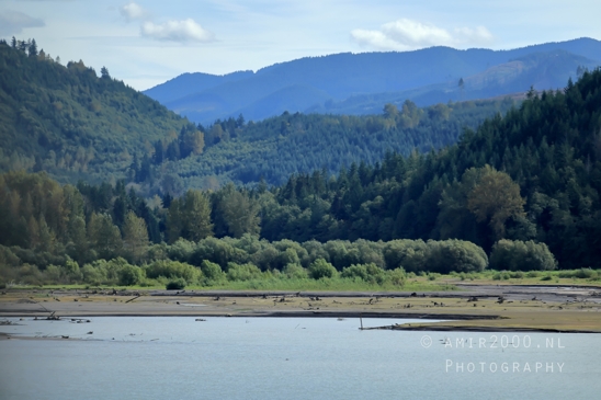 Alder_Lake_Eatonville_Washington_USA_landscape_nature_Photography_026_Canon_EOS_R5_Mark_II.JPG