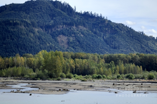 Alder_Lake_Eatonville_Washington_USA_landscape_nature_Photography_027_Canon_EOS_R5_Mark_II.JPG