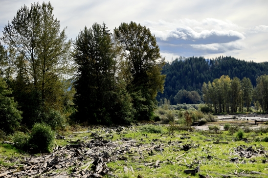 Alder_Lake_Eatonville_Washington_USA_landscape_nature_Photography_030_Canon_EOS_R5_Mark_II.JPG