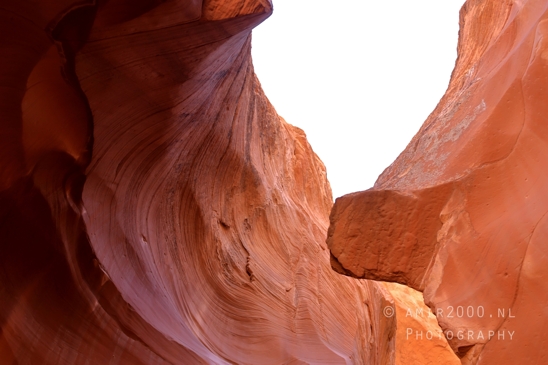 Antelope_Canyon_North_Sandstone_Waves_Orange_Red_Rock_Formations_Page_Arizona_USA_Swirling_Textures_nature_landscape_Photography_019_Canon_EOS_R5_Mark_II.JPG