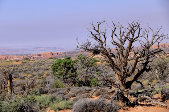 Arches_National_Park_Moab_Utah_USA_Double_Arch_landscape_nature_Photography_001_Canon_EOS_R5_Mark_II.JPG