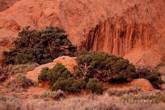 Arches_National_Park_Moab_Utah_USA_Turret_Arch_and_Window_landscape_nature_Photography_003_Canon_EOS_R5_Mark_II.JPG