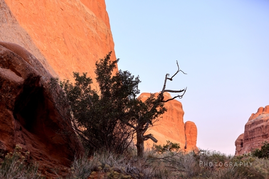 Arches_National_Park_Moab_Utah_USA_Turret_Arch_and_Window_landscape_nature_Photography_008_Canon_EOS_R5_Mark_II.JPG