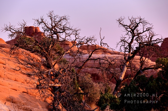 Arches_National_Park_Moab_Utah_USA_Turret_Arch_and_Window_landscape_nature_Photography_017_Canon_EOS_R5_Mark_II.JPG