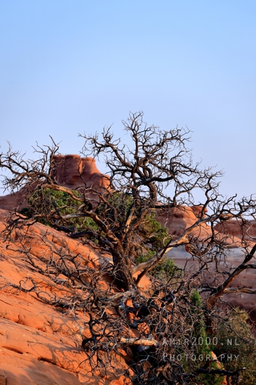 Arches_National_Park_Moab_Utah_USA_Turret_Arch_and_Window_landscape_nature_Photography_018_Canon_EOS_R5_Mark_II.JPG