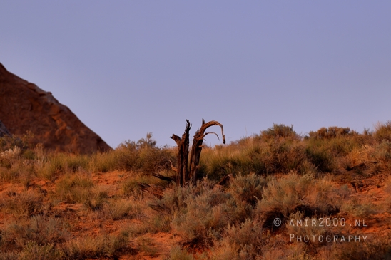 Arches_National_Park_Moab_Utah_USA_Turret_Arch_and_Window_landscape_nature_Photography_019_Canon_EOS_R5_Mark_II.JPG