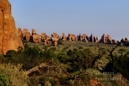 Arches_National_Park_Moab_Utah_USA_Turret_Arch_and_Window_landscape_nature_Photography_040_Canon_EOS_R5_Mark_II.JPG
