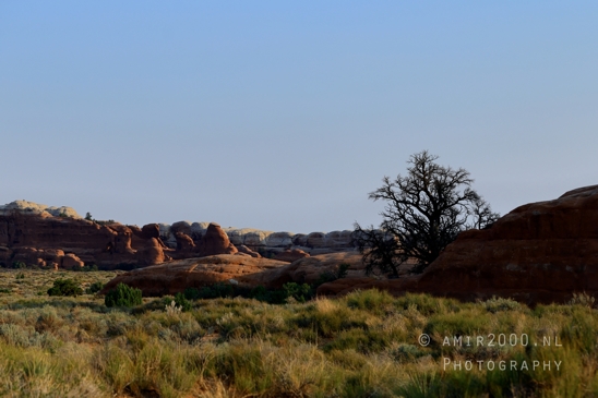 Arches_National_Park_Moab_Utah_USA_Turret_Arch_and_Window_landscape_nature_Photography_042_Canon_EOS_R5_Mark_II.JPG