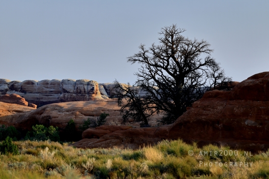 Arches_National_Park_Moab_Utah_USA_Turret_Arch_and_Window_landscape_nature_Photography_049_Canon_EOS_R5_Mark_II.JPG