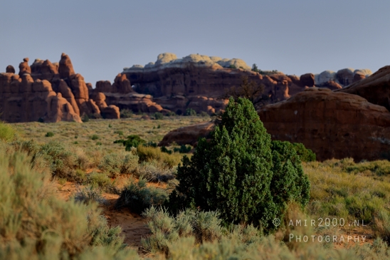 Arches_National_Park_Moab_Utah_USA_Turret_Arch_and_Window_landscape_nature_Photography_056_Canon_EOS_R5_Mark_II.JPG