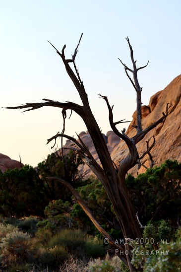 Arches_National_Park_Moab_Utah_USA_Turret_Arch_and_Window_landscape_nature_Photography_058_Canon_EOS_R5_Mark_II.JPG