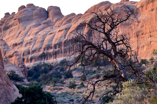 Arches_National_Park_Moab_Utah_USA_Turret_Arch_and_Window_landscape_nature_Photography_060_Canon_EOS_R5_Mark_II.JPG