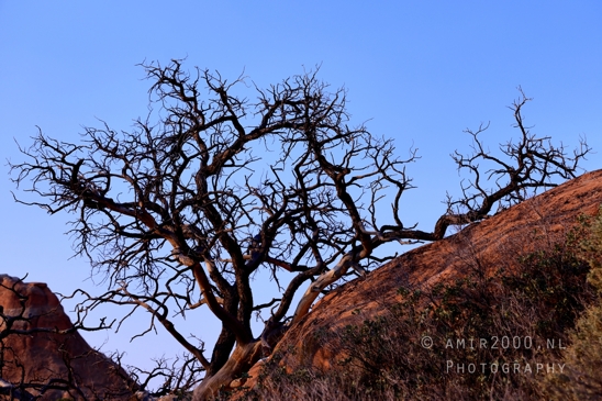 Arches_National_Park_Moab_Utah_USA_Turret_Arch_and_Window_landscape_nature_Photography_061_Canon_EOS_R5_Mark_II.JPG