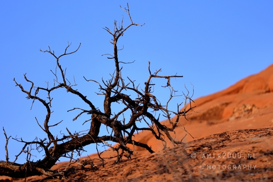 Arches_National_Park_Moab_Utah_USA_Turret_Arch_and_Window_landscape_nature_Photography_062_Canon_EOS_R5_Mark_II.JPG