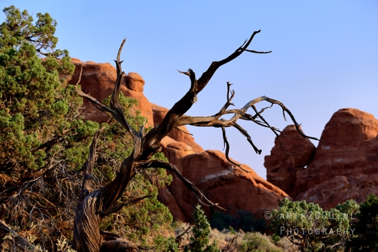 Arches_National_Park_Moab_Utah_USA_Turret_Arch_and_Window_landscape_nature_Photography_069_Canon_EOS_R5_Mark_II.JPG