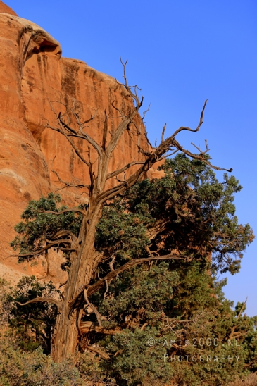 Arches_National_Park_Moab_Utah_USA_Turret_Arch_and_Window_landscape_nature_Photography_072_Canon_EOS_R5_Mark_II.JPG