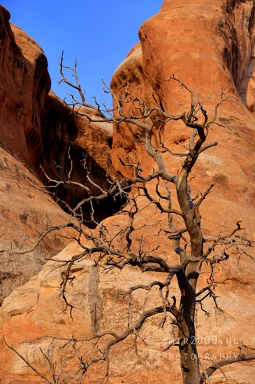 Arches_National_Park_Moab_Utah_USA_Turret_Arch_and_Window_landscape_nature_Photography_073_Canon_EOS_R5_Mark_II.JPG