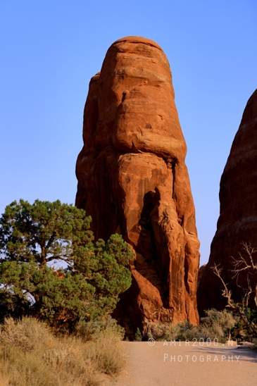 Arches_National_Park_Moab_Utah_USA_Turret_Arch_and_Window_landscape_nature_Photography_074_Canon_EOS_R5_Mark_II.JPG