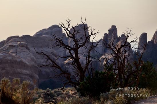 Arches_National_Park_Moab_Utah_USA_Turret_Arch_and_Window_landscape_nature_Photography_076_Canon_EOS_R5_Mark_II.JPG
