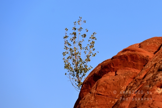 Arches_National_Park_Moab_Utah_USA_Turret_Arch_and_Window_landscape_nature_Photography_078_Canon_EOS_R5_Mark_II.JPG