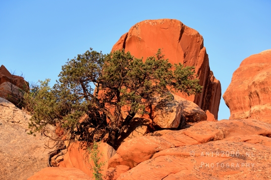 Arches_National_Park_Moab_Utah_USA_Turret_Arch_and_Window_landscape_nature_Photography_080_Canon_EOS_R5_Mark_II.JPG