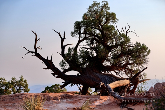 Arches_National_Park_Moab_Utah_USA_Turret_Arch_and_Window_landscape_nature_Photography_081_Canon_EOS_R5_Mark_II.JPG