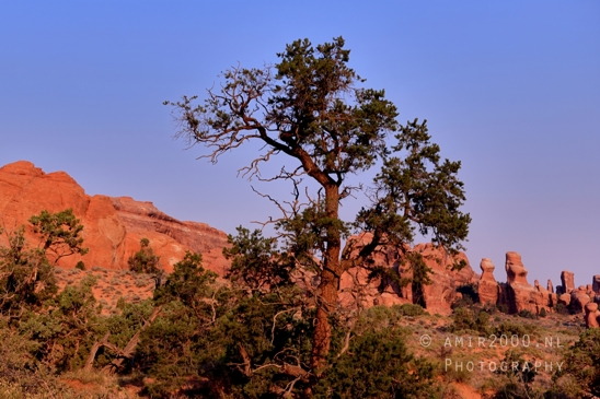 Arches_National_Park_Moab_Utah_USA_Turret_Arch_and_Window_landscape_nature_Photography_084_Canon_EOS_R5_Mark_II.JPG