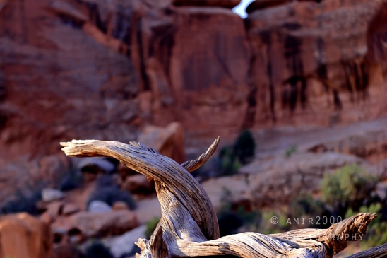 Arches_National_Park_Moab_Utah_USA_Turret_Arch_and_Window_landscape_nature_Photography_103_Canon_EOS_R5_Mark_II.JPG